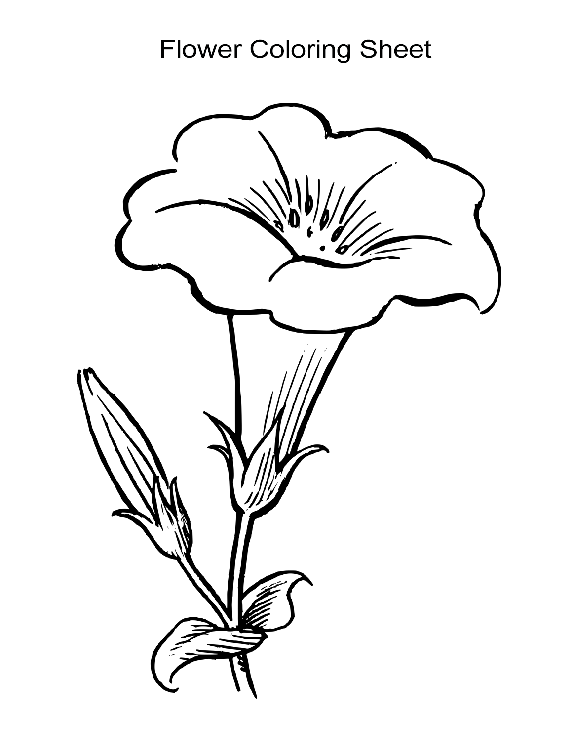 Flower coloring sheets for girls and boys