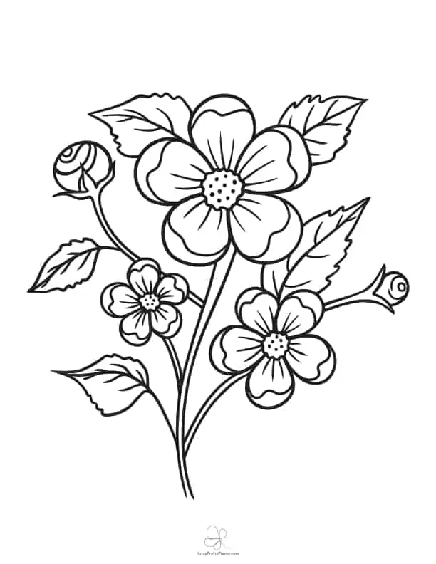 Best flower coloring sheets for free