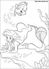 The little mermaid coloring pages on coloring