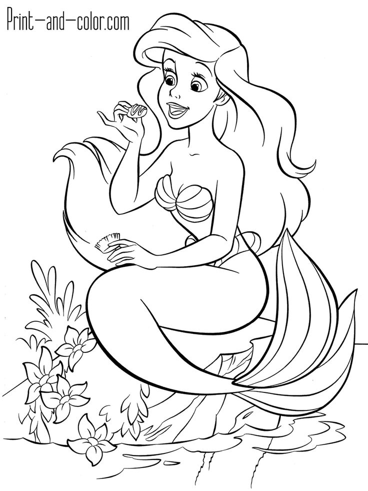 The little mermaid cores de sereia sereias para colorir ariel para colorir