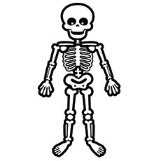 Best skeleton coloring pages for your toddler