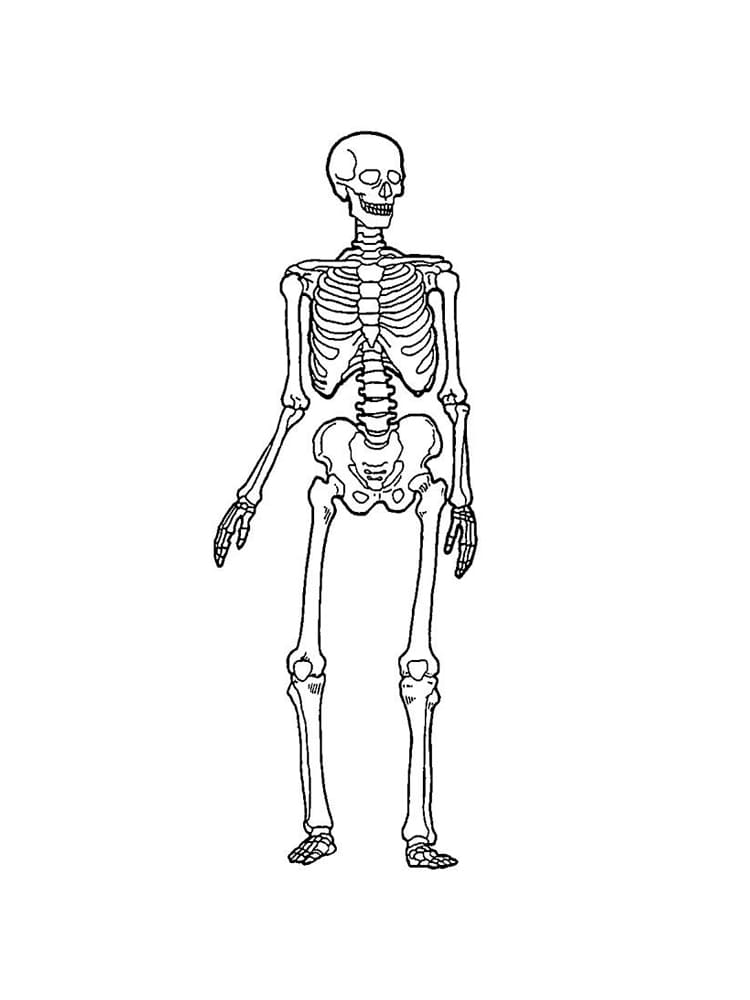 Skeleton coloring pages