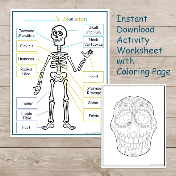 Printable skeleton activity pack coloring page kids learning science homeschool learning instant download