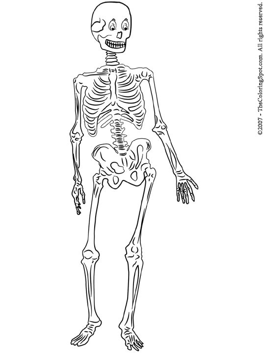 Skeleton coloring page audio stories for kids free coloring pages colouring printables