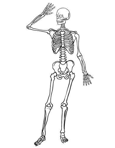 Free skeleton coloring page