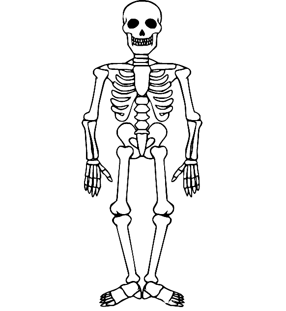 Skeleton coloring pages printable for free download