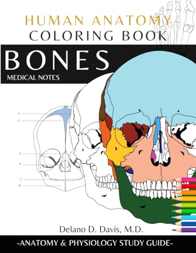 Human anatomy loring book bones medical notes detailed illustrations learn the skeletal system anatomy and physiology loring workbook with nurses doctor and all lovers of anatomy