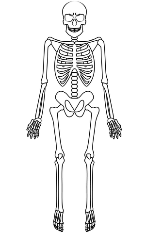 Skeleton coloring page free printable coloring pages