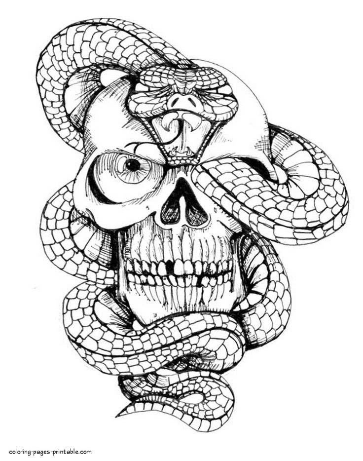 Skull and snake coloring page for adults snake coloring pages skull coloring pages adult coloring pages