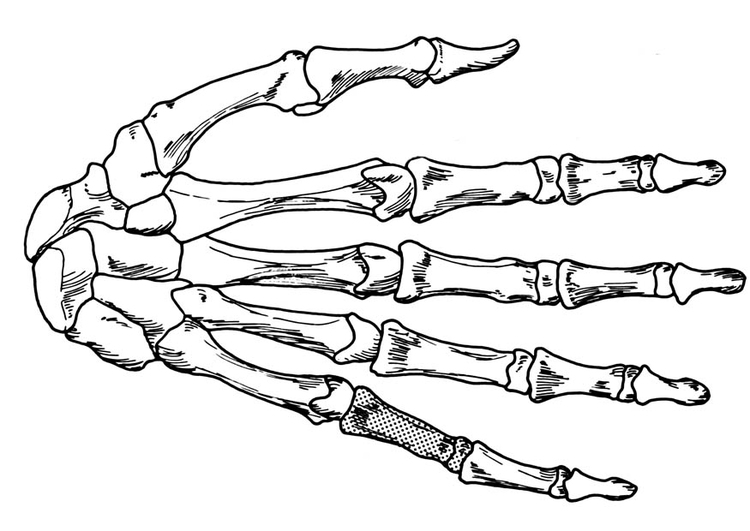 Coloring page hand