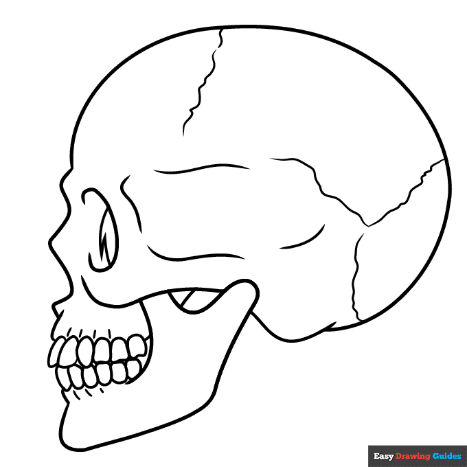 Free printable skull coloring pages for kids