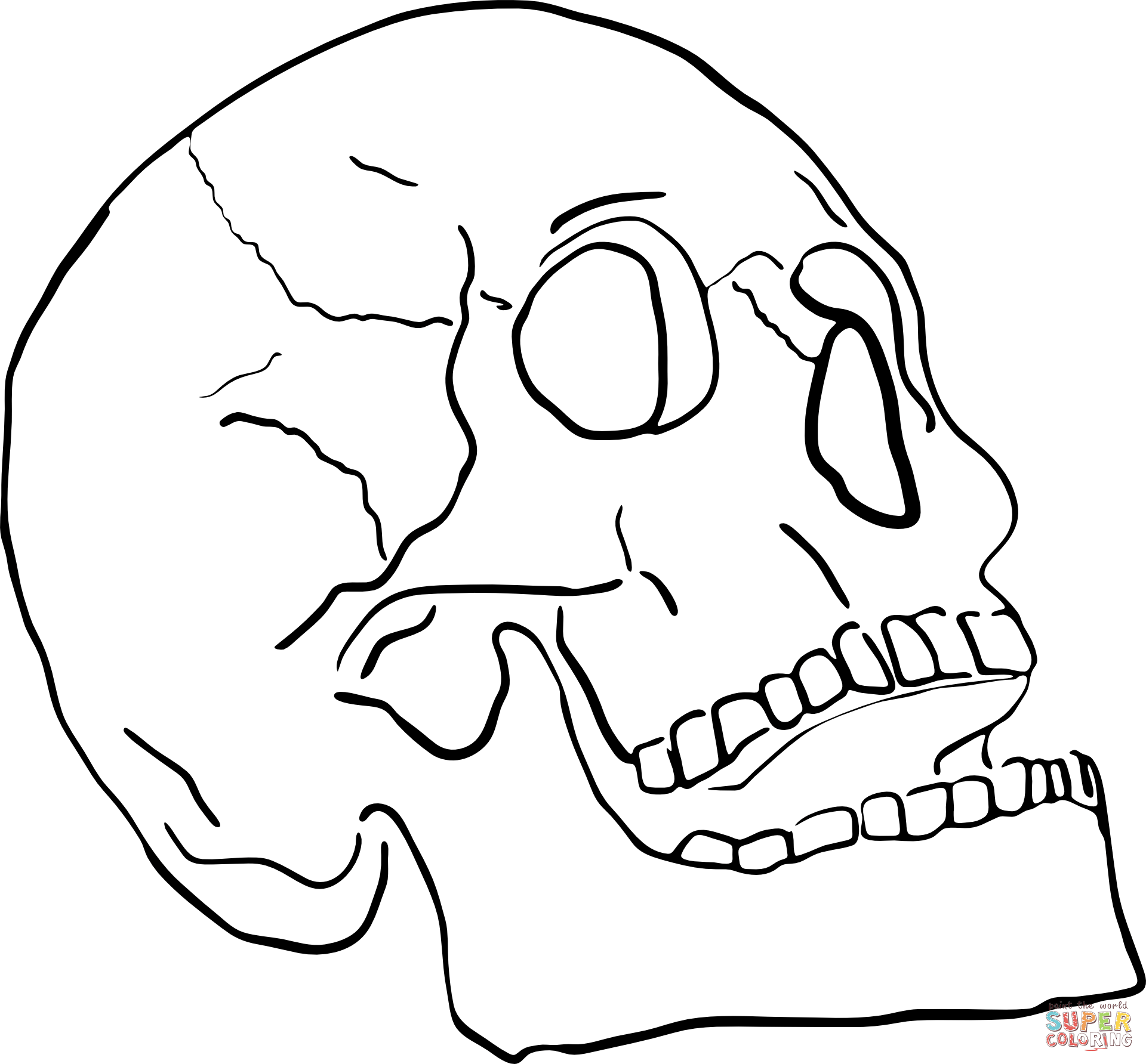 Skeleton head coloring page free printable coloring pages