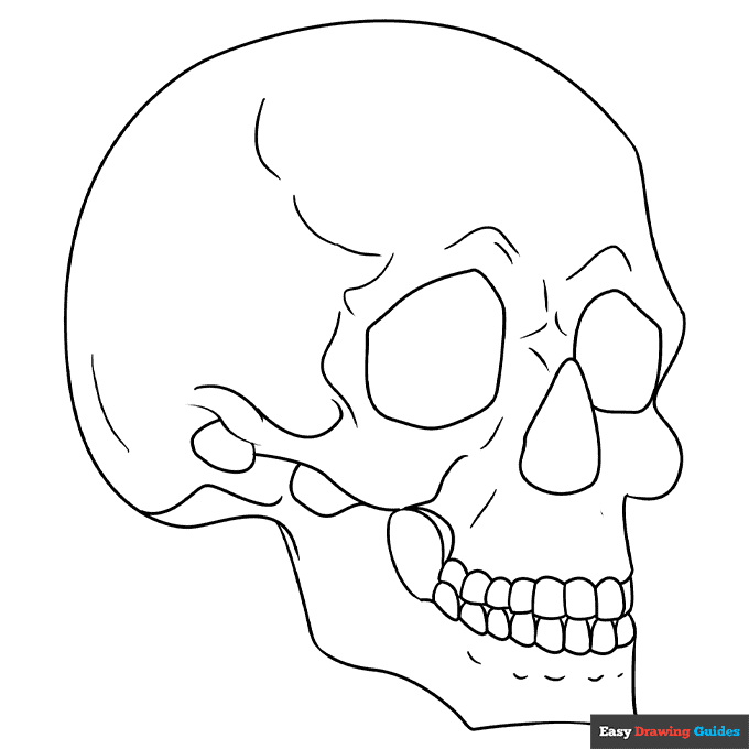 Free printable skull coloring pages for kids