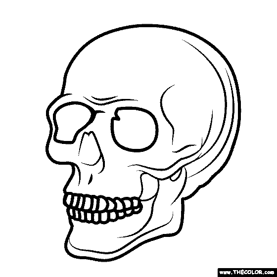 Huan skull coloring page