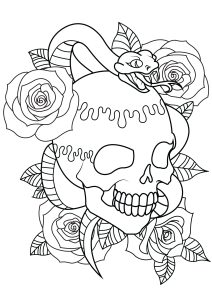 Skull coloring pages for adults kids