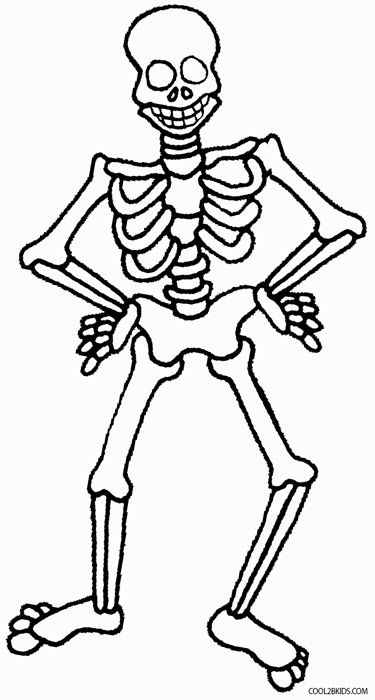 Printable skeleton coloring pages for kids coolbkids skeleton for kids coloring pages fall coloring pages