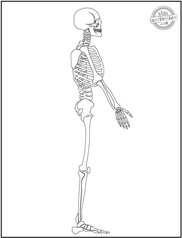 Best free skeleton coloring pages kids activities blog