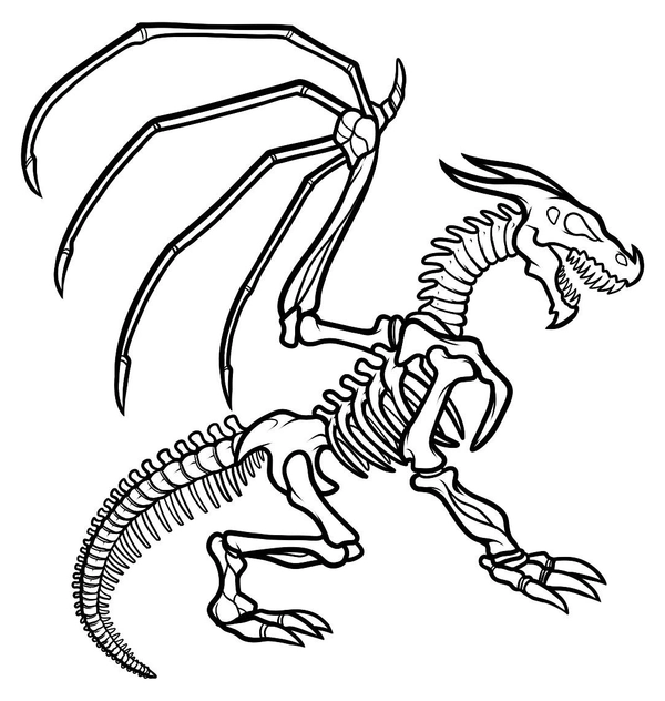 Ðï dragon skeleton