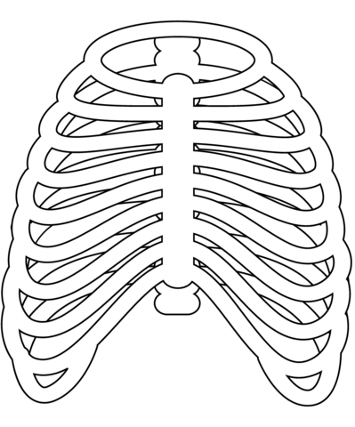 Rib cage coloring page free printable coloring pages