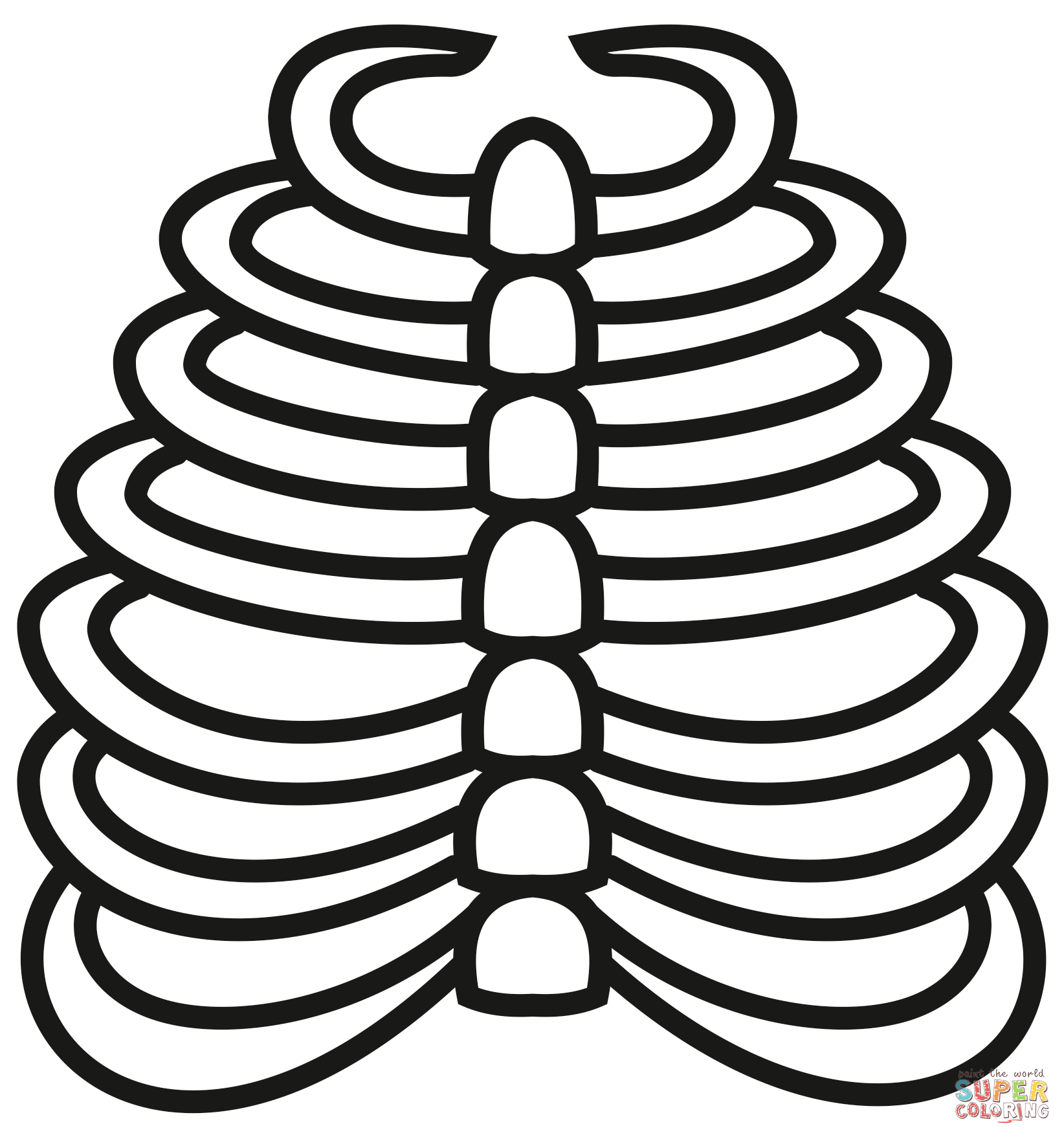 Rib cage coloring page free printable coloring pages