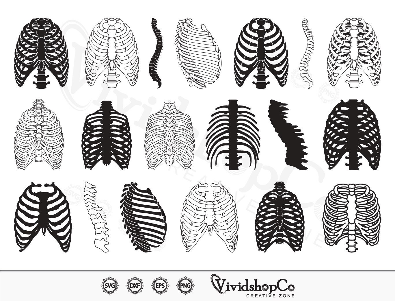 Rib cage svg skeleton rib cage svg skeleton svg human ribs svg human bones svg clipart eps dxf png cut file instant download