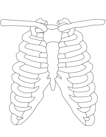 Ribs coloring page free printable coloring pages