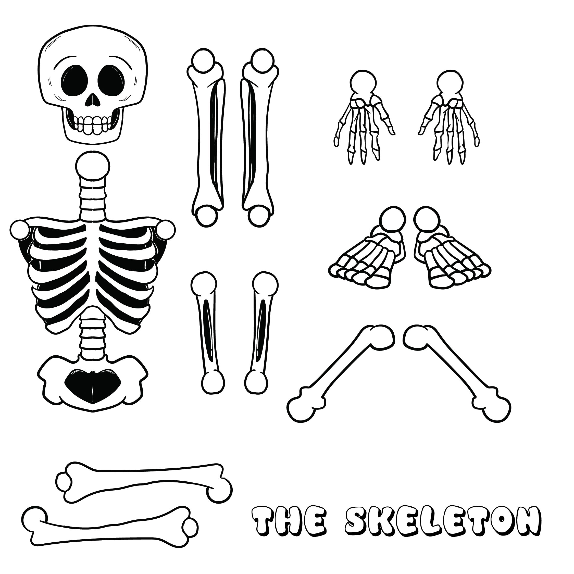 Free printable skeleton template cut out