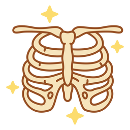 Skeleton rib cage color stroke png svg design for t