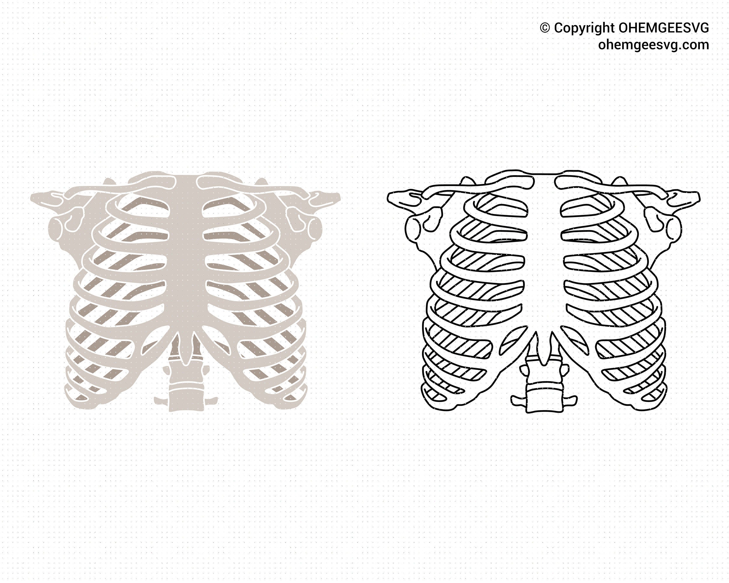 Human rib cage svg skeleton svg rib cage svg human anatomy