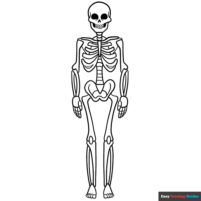 Free printable human body coloring pages for kids