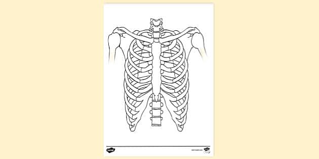 Colouring colouring sheets teacher made