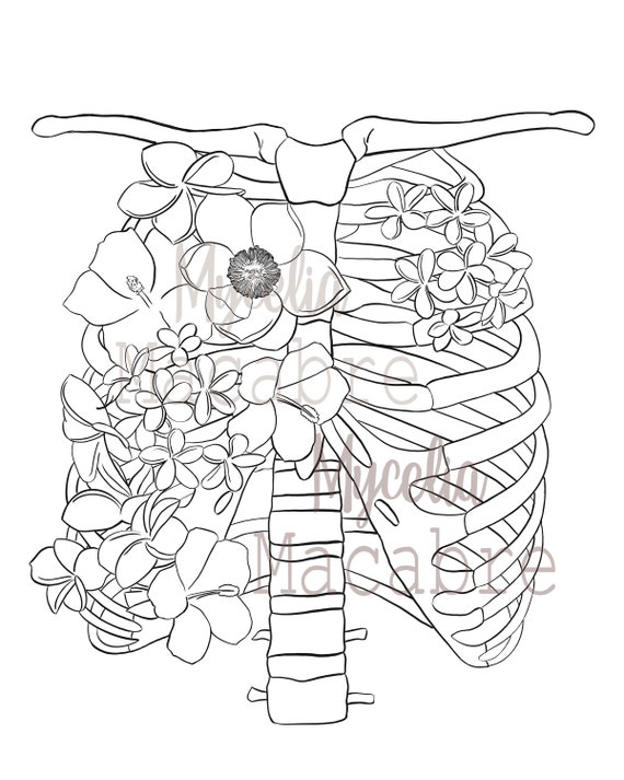 Human rib cage coloring page anatomical coloring page printable diy wall art anatomical art instant download