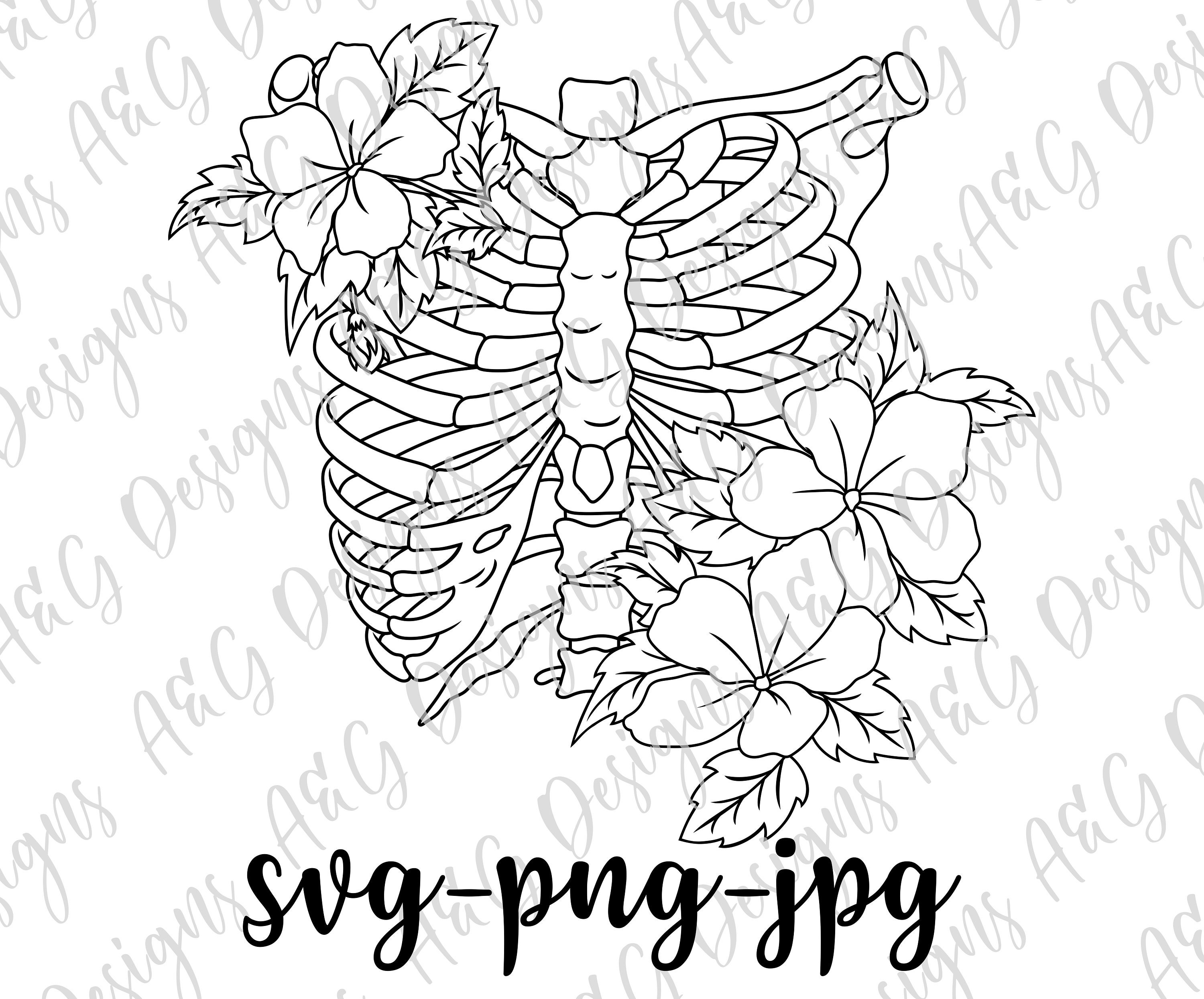 Rib cage template