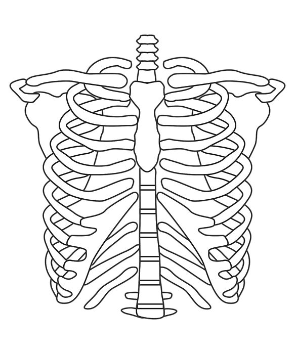 Halloween costume skeleton rib cage greeting card by john ko