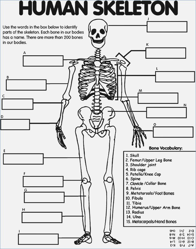 Free printable skeleton coloring pages for kids