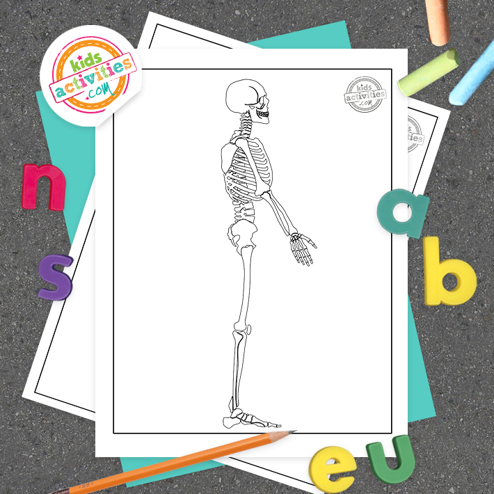 Best free skeleton coloring pages kids activities blog