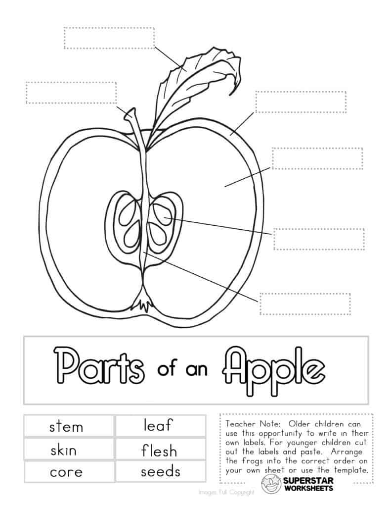 Apple worksheets