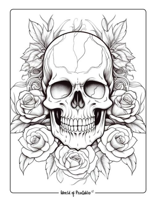 Skull coloring pages