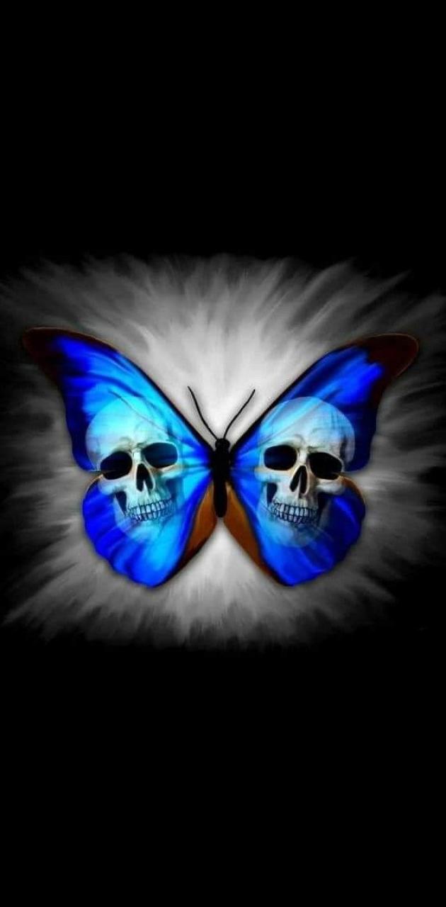 Download skull butterflies wallpapers Bhmpics