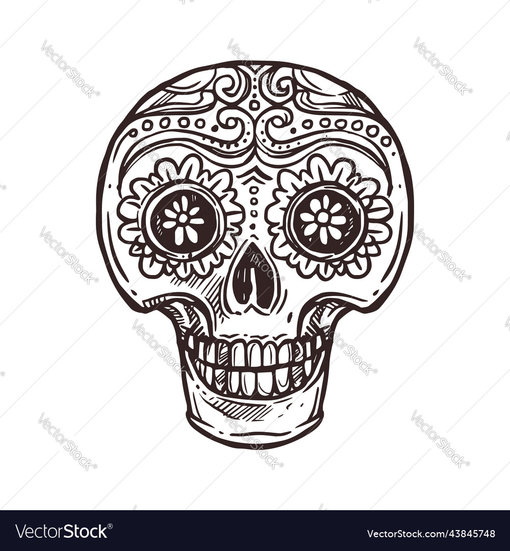 Calavera skull sketch cinco de mayo mexican icon vector image