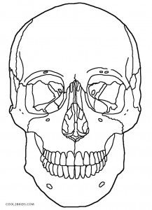 Creative coloring fun printable skulls coloring pages for kids