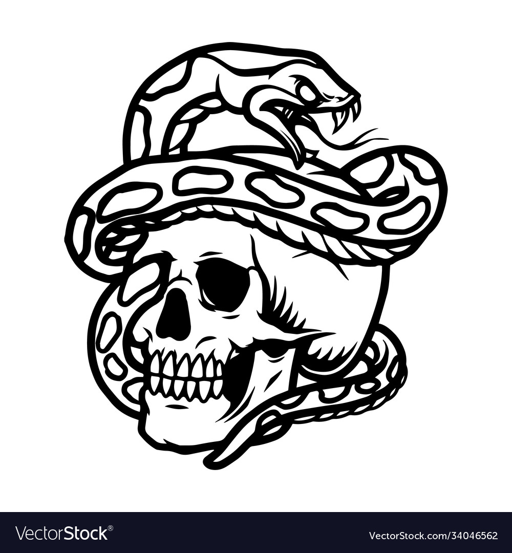 Snake entwined with skull template royalty free vector image