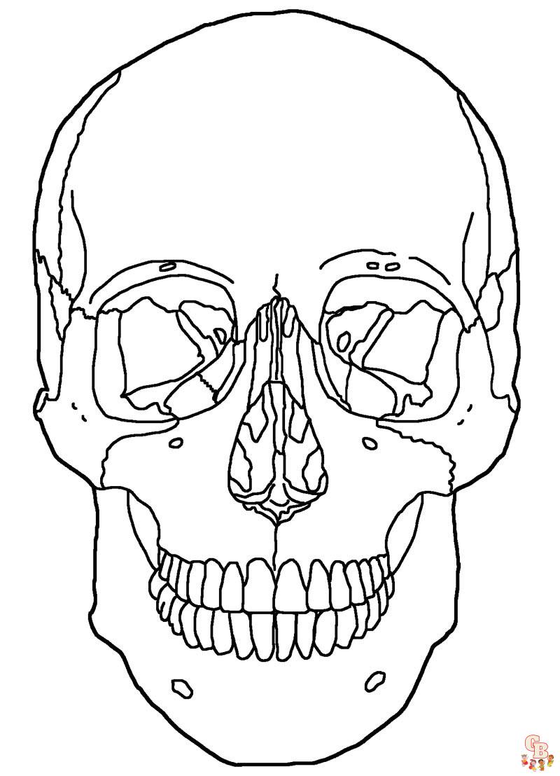 Skull coloring pages unleash your creativity with unique designs