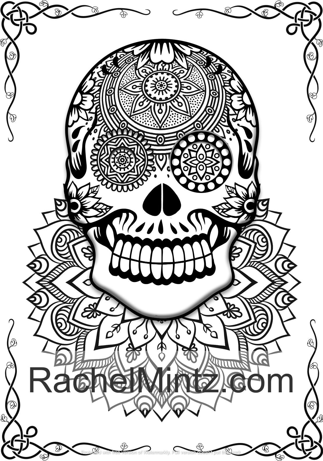 Skull mandalas coloring book