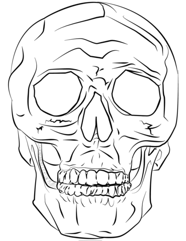 Human skull coloring page free printable coloring pages