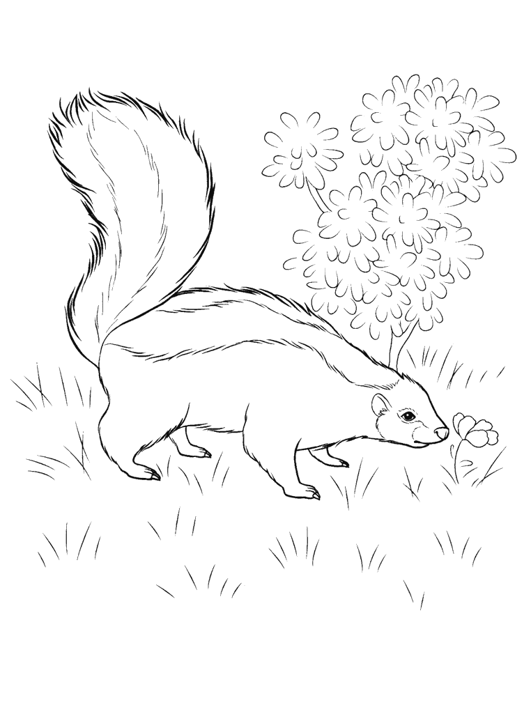 Coloring page