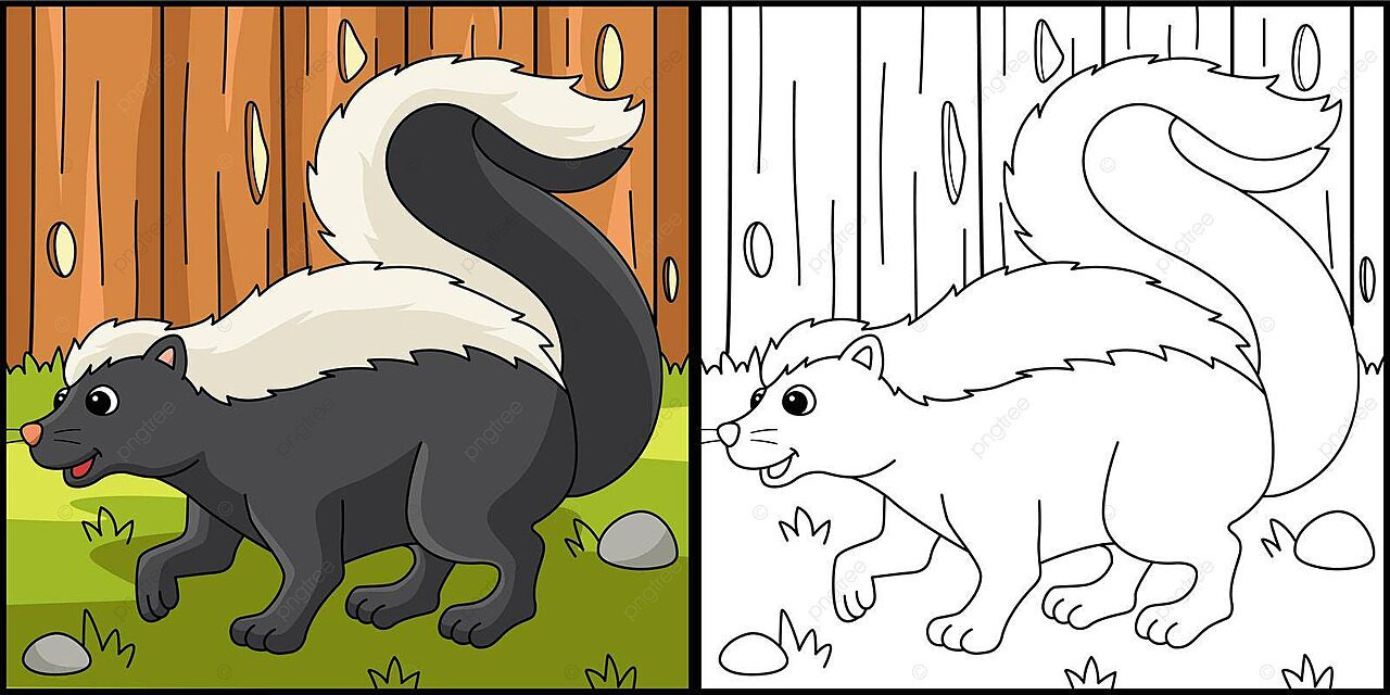 Skunk animal coloring page colored illustration line colour colouring book vector line colour colouring book png and vector with transparent background for free download