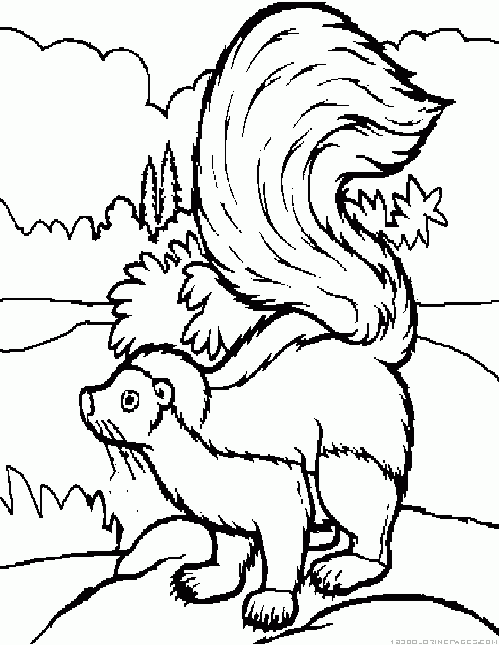 Skunk coloring pages