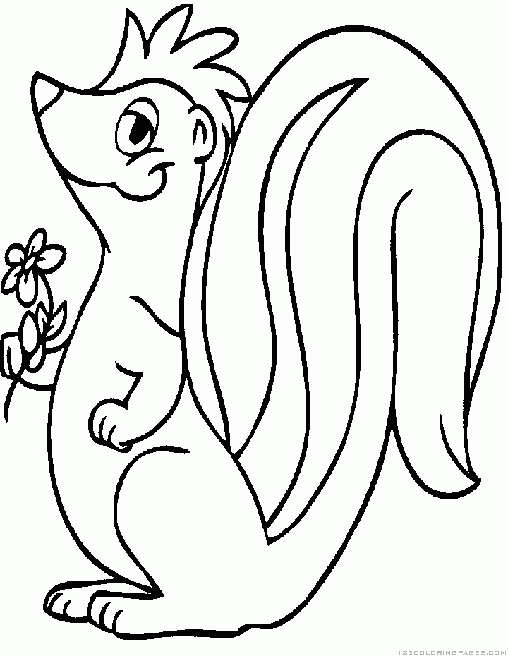 Skunk coloring pages