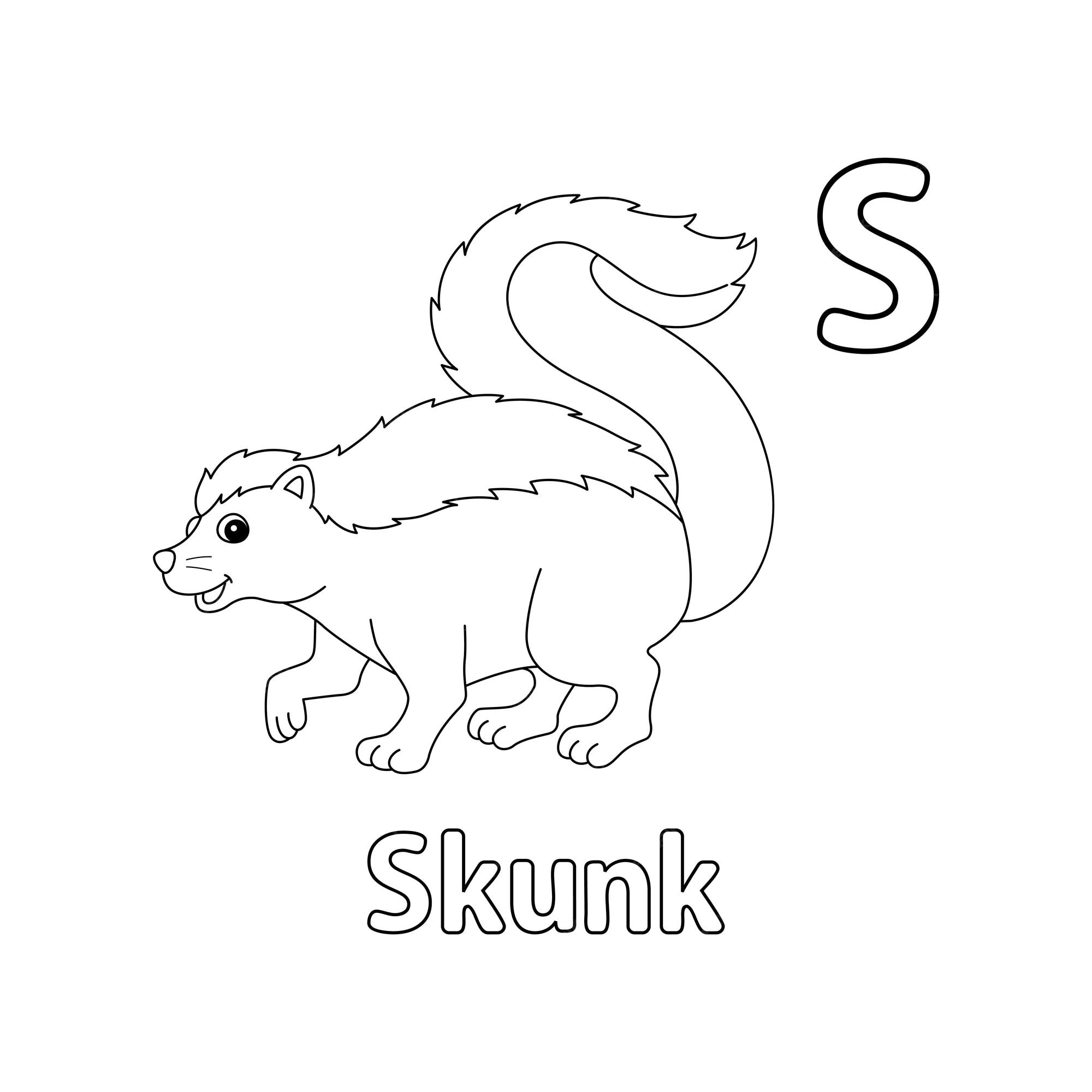 Premium vector skunk animal alphabet abc isolated coloring page s